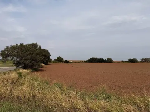 Cropland Farm with Utilities
