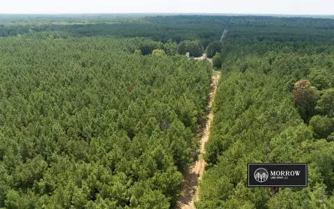 Timberland Hunting Property