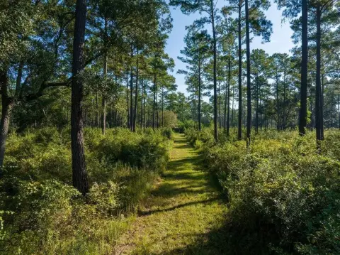 Red Hills Hunting Land