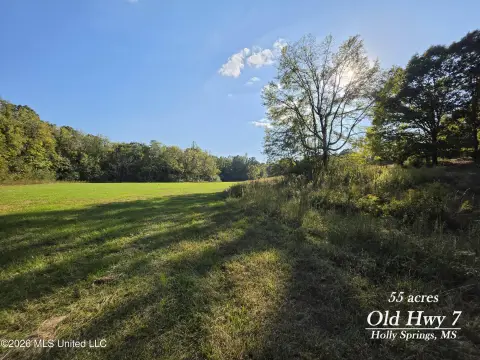 Hunting Land with Established Trails