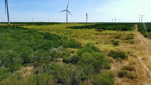 South Texas Ranch Land