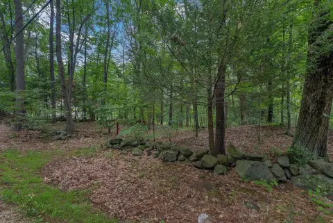 Wooded Residential Land Lot
