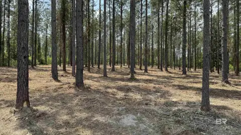 Unrestricted Land Between Bay Minette