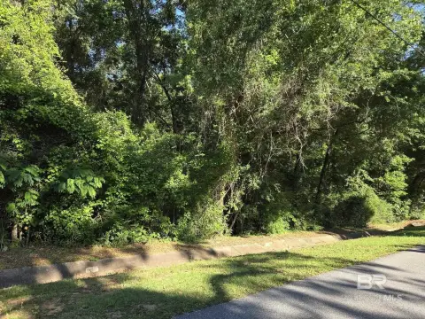 Residential Land in Daphne, AL