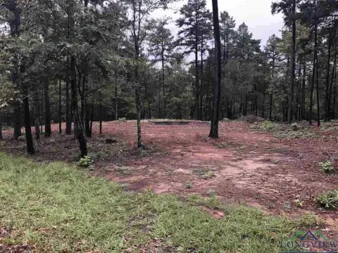 Residential Lot Near Lake Gladewater