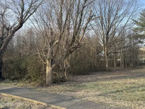 Flat Building Lot in Tellico