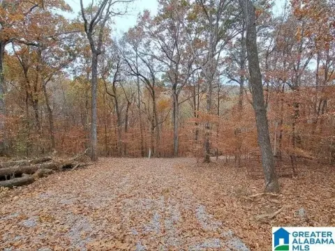 Gated Homesite with Mature Hardwood