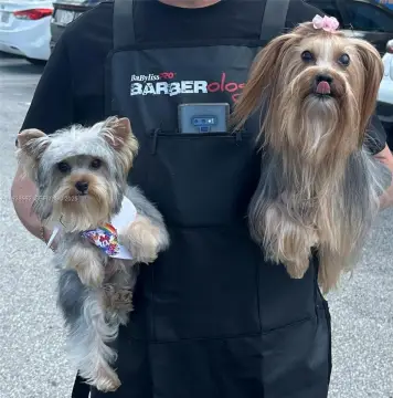 Established Pet Grooming Business Opportunity