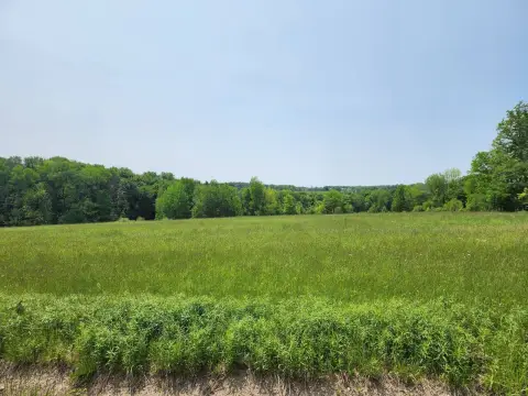 Ripley Vacant Land with Creek