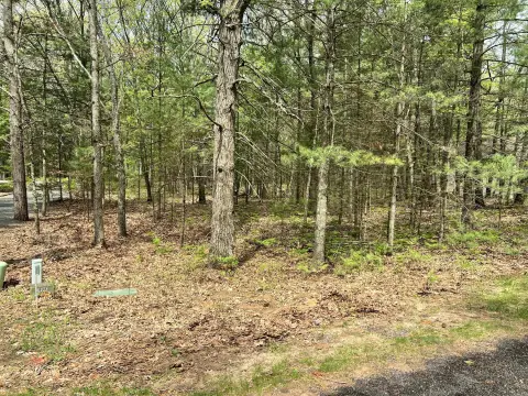 Wooded Lot with Lake Access