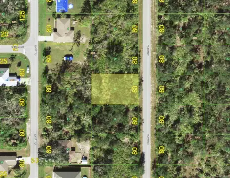 Nicely Wooded Lot in Port Charlotte