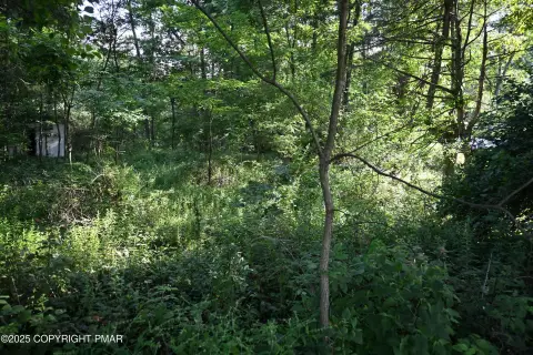 Commercial Land on Route 611