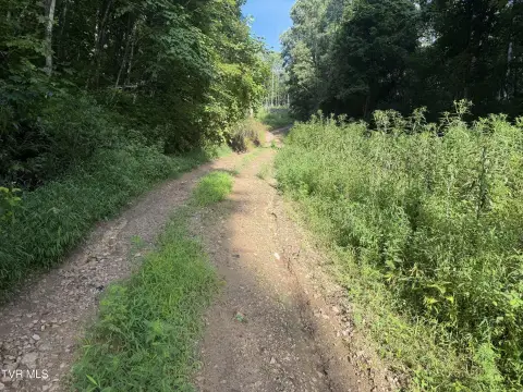 Wooded Mountain Land