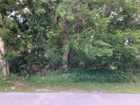 Waterfront Residential Buildable Lot