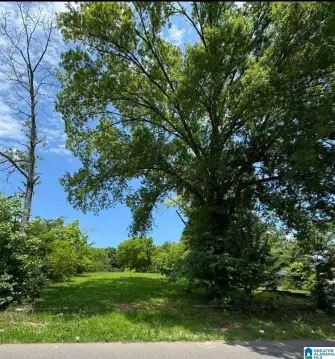 Residential Lot with Mature Trees