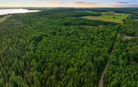 Wooded Hunting Land