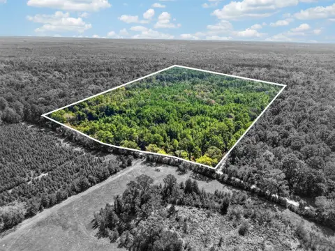 Wooded Recreational Land