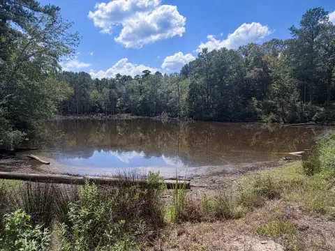 Pineywoods Hunting Land