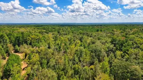 Wooded Hunting Land