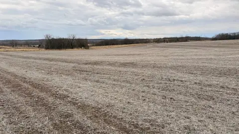 Terraced Row Crop and Timber Tract