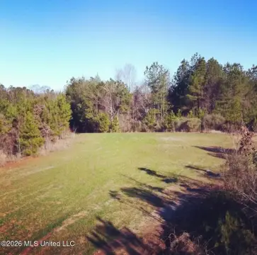 Hunting Land with Camp Shed