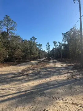 Wooded Lot in Tallahassee, FL
