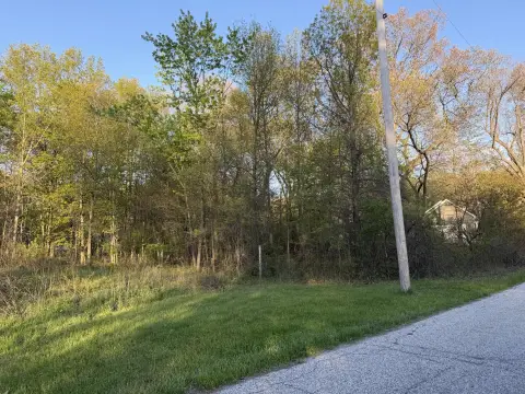 Wooded Lot Near Lake Michigan