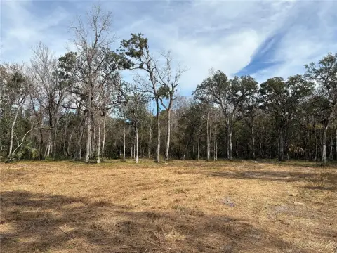 Tranquil 19.2-Acre Florida Land Parcel