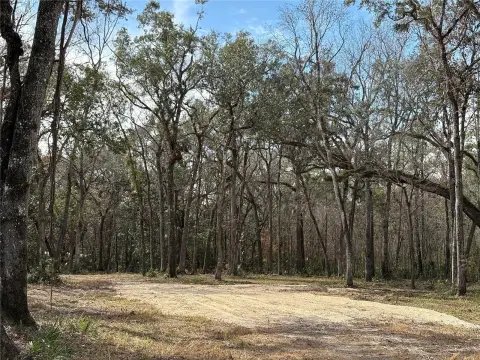 Tranquil 19.2-Acre Florida Land Parcel