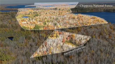 Land Near Chippewa National Forest