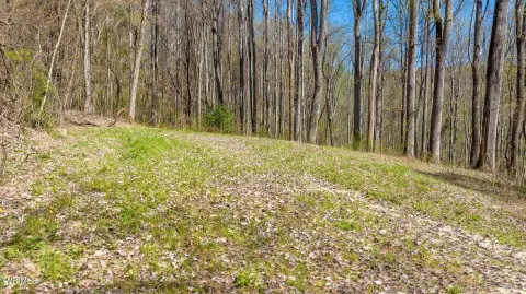 Secluded Mountain Land in Butler, TN