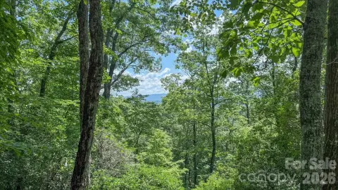 Wooded Mountain Homesite Land