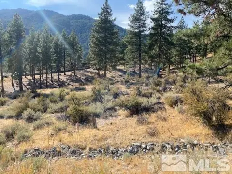 Land in Clear Creek Tahoe