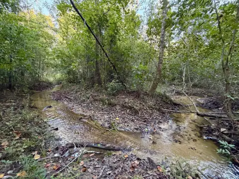 Creekfront Hunting Land