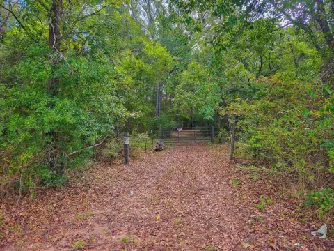 Wooded Recreation Land