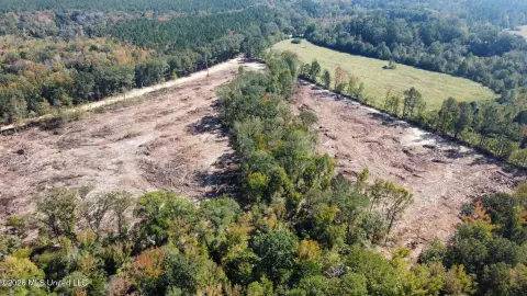 Hunting Land with Hardwood Timber