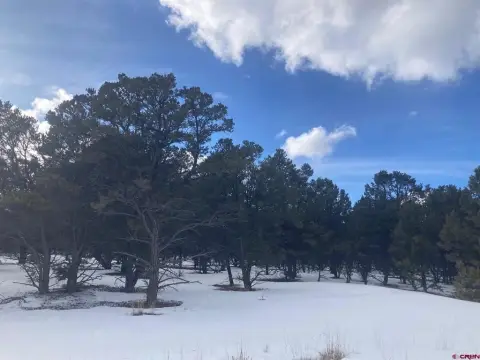 Ridgway Residential Land with Views
