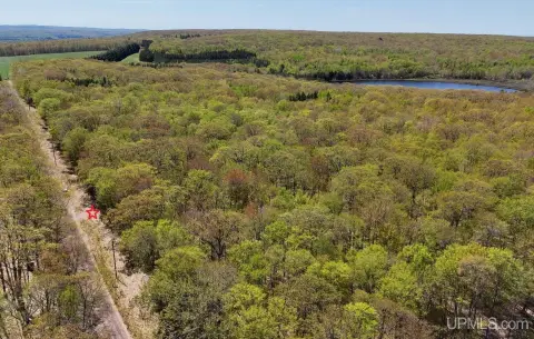 Wooded Acreage Near Lake Superior