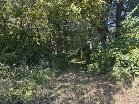 Wooded Hunting Land with Stream