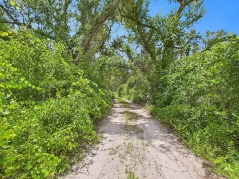 8.45 Acres on Shady Oaks