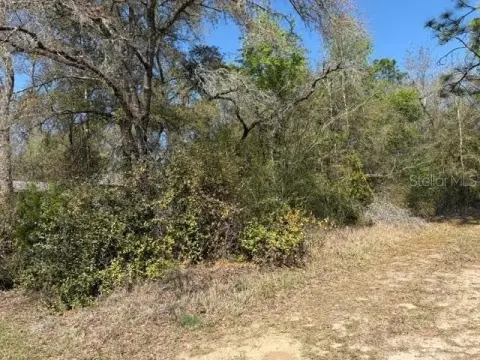 Citrus Springs Building Lot