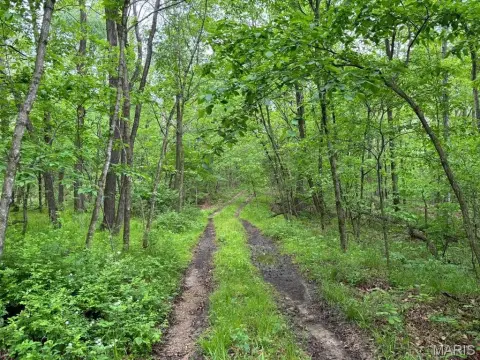 Secluded Land Overlooking Salt River