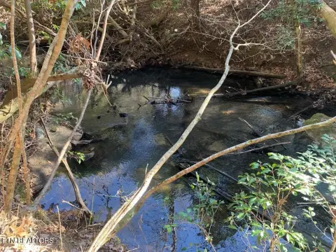 Unrestricted Land with Creek Frontage