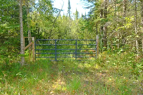 Wooded Hunting Land