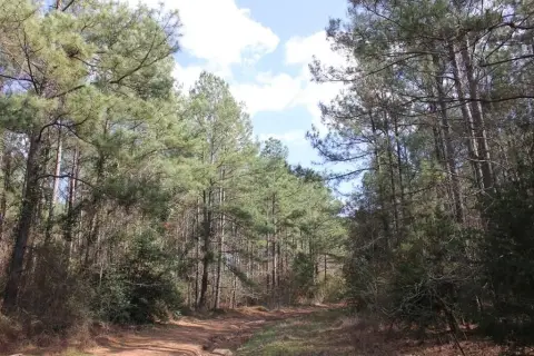 Unrestricted Timber and Recreational Land