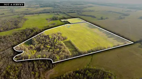 Palmersville Farm Land For Sale