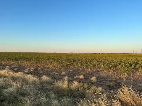 Lubbock Land for Sale