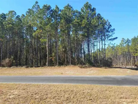 Expansive Homesite in Tallahassee Ranch