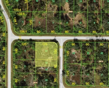 Oversized Vacant Lot in Charlotte
