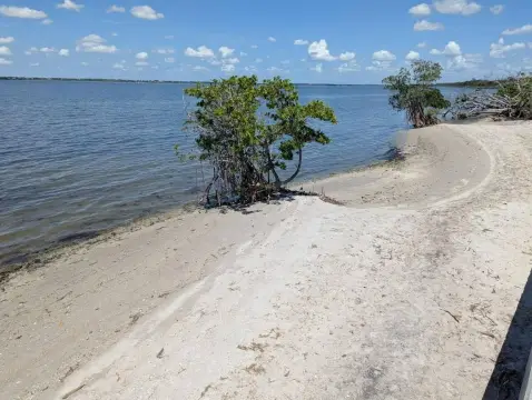 Direct Beachfront Land